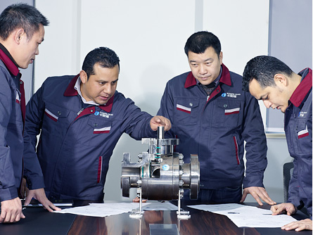 Kamailong products